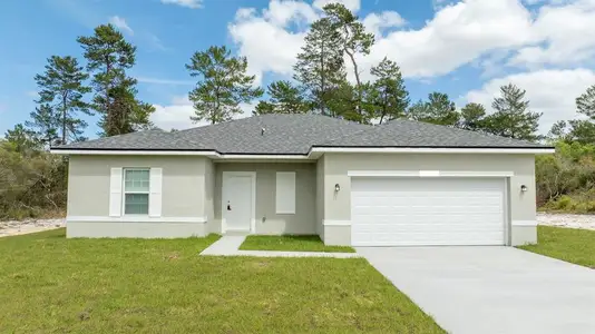 New construction Single-Family house 5010 Sw 155Th Lp, Ocala, FL 34473 - image