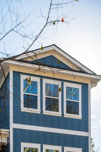 New construction Single-Family house 3653 Pandora Dr, Mount Pleasant, SC 29466 - image