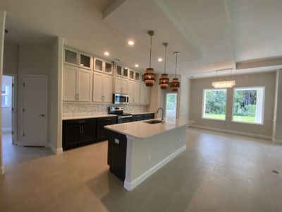 New construction Single-Family house 208 Hawthorn Ave, Palm Coast, FL 32164 plan Brighton - image 16