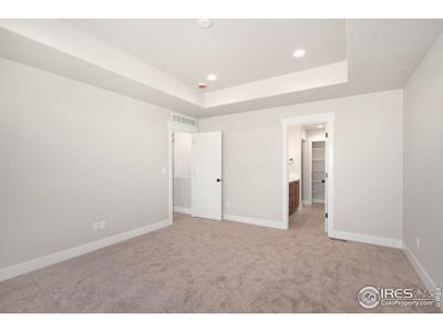 New construction Single-Family house 6997 Feather Reed Dr, Wellington, CO 80549 - image 15