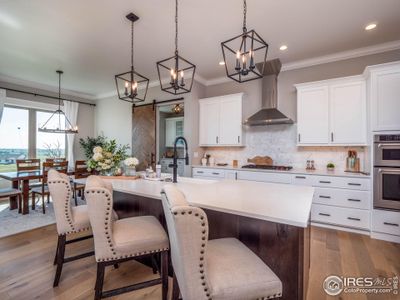 Harvest Ridge by Rhoades Builds in Berthoud - photo 14 14