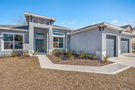 New construction Single-Family house 19 Long Pl, Palm Coast, FL 32137 - image