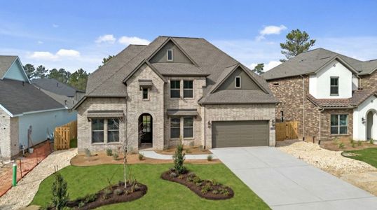New construction Single-Family house 41738 Wendele Wy, Montgomery, TX 77316 plan Richwood - image
