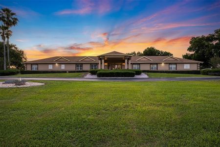New construction Single-Family house 6242 Sw 97Th St, Ocala, FL 34476 - image 8
