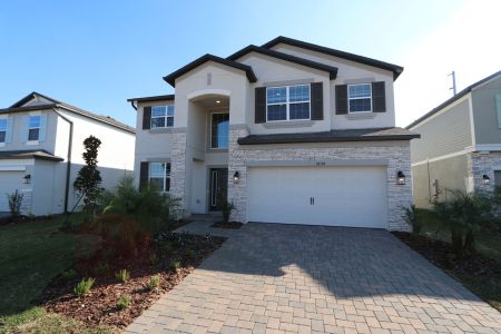 New construction Single-Family house 38338 Tobiano Loop, Dade City, FL 33525 Mira Lago- photo 144 144