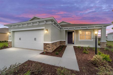 New construction Single-Family house 10370 Sw 105Th Ter, Ocala, FL 34481 - image