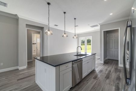 New construction Single-Family house 335 Conch Key Ln, Lady Lake, FL 32159 plan Amelia - image 3