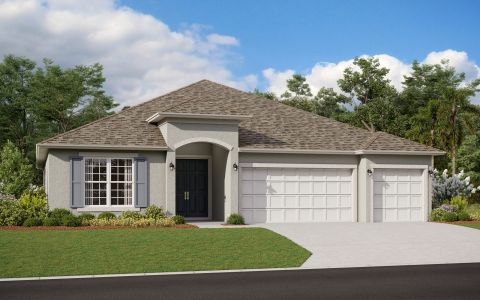 New construction Single-Family house 1676 Pyramid Hill St, Minneola, FL 34715 plan Avalon - image