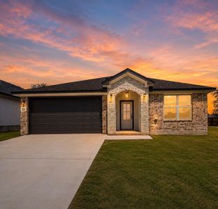 New construction Single-Family house 2123 Blackhawk Lp, Belton, TX 76513 - image