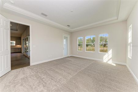 New construction Single-Family house 14924 Rider Pass Dr, Lithia, FL 33547 plan Biscayne II - image 19