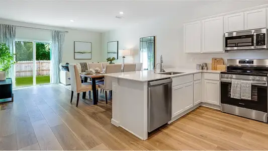 New construction Multi-Family house 539 Holly Lakes Dr, Orange Park, FL 32073 plan Mia - image