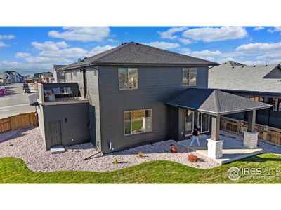 New construction Single-Family house 743 Little Leaf Dr, Windsor, CO 80550 plan Fairplay - image 3