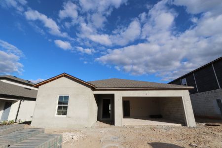 New construction Single-Family house 12188 Hilltop Farms Dr, Dade City, FL 33525 Ventura- photo 51 51