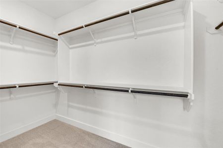 New construction Single-Family house 313 Boots Ct, Lorena, TX 76655 plan Cypress Creek - image 18