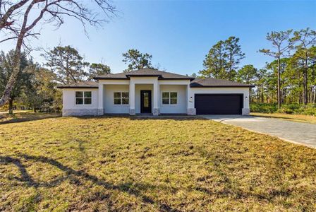 New construction Single-Family house 20106 Sheldon St, Orlando, FL 32833 - image