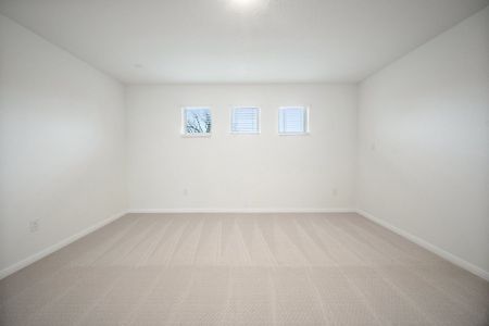 New construction Single-Family house 1808 Halas St, Manchaca, TX 78652 Conchos- photo 12 12