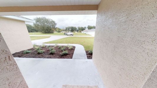 New construction Single-Family house NE Jacksonville Rd & NE 161st St, Citra, FL 32113 - photo 12 12