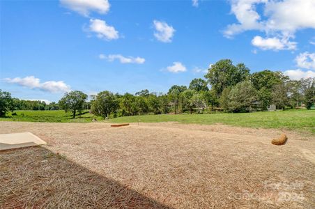 New construction Single-Family house 502 Elpine Street, Statesville, NC 28677 null- photo 29 29