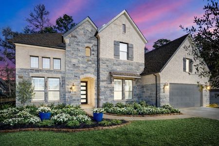 New construction Single-Family house 208 Twinflower Trail Ct, Willis, TX 77318 - image