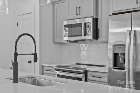 New construction Townhouse house 53 Moon Haven Wy, Arden, NC 28704 plan Litchfield - image 16