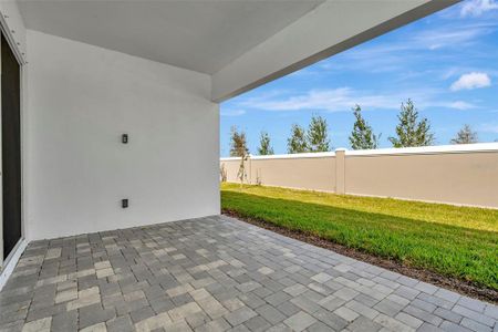 New construction Single-Family house 8328 Golden Beach Ct, Parrish, FL 34219 null- photo 49 49