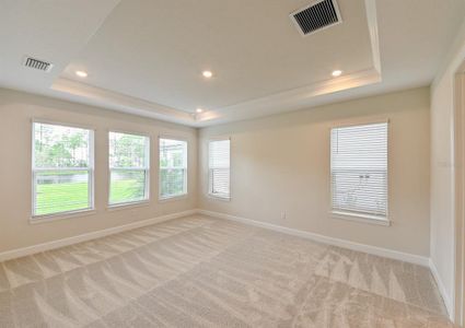 New construction Single-Family house 33750 Ocean Spray Ln, Wesley Chapel, FL 33543 Patterson- photo 30 30