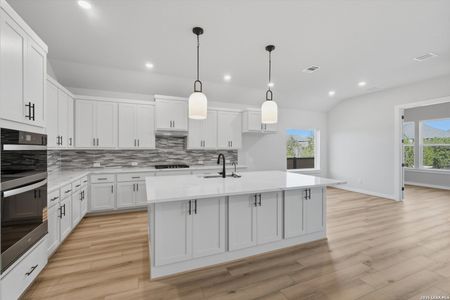 New construction Single-Family house 1590 Lone Grapevine, New Braunfels, TX 78132 plan Franklin - image 8