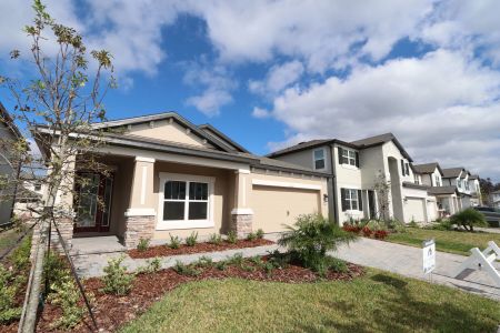 New construction Single-Family house 33227 Amling Pecan Br, Wesley Chapel, FL 33545 Newport II- photo 131 131