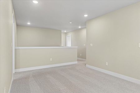 New construction Single-Family house 5343 Sidewinder Dr, Colorado Springs, CO 80925 plan Elm - image 19