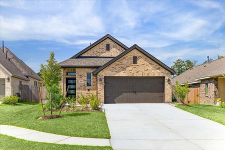New construction Single-Family house 1309 Wicklow Forest St, Magnolia, TX 77354 plan Design 1736W - image