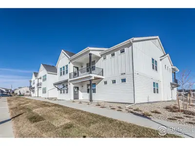 New construction Multi-Family house 2106 Falling Leaf Dr, Unit 8, Windsor, CO 80550 null- photo 0 0