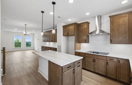 New construction Single-Family house 112 Scenic Pass, Nashville, TN 37218 plan Teravista - image 13