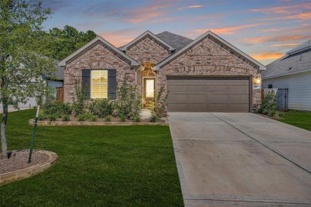 New construction Single-Family house 10009 Bigfoot Wallace Dr, Montgomery, TX 77316 plan Dawson - image