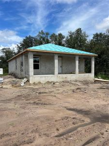 New construction Single-Family house 4004 Se County Rd 760A, Arcadia, FL 34266 - image