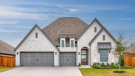 New construction Single-Family house 232 Rosemallow Ln, Waxahachie, TX 75165 plan 2895W - image