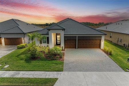 New construction Single-Family house 12208 Violet Jasper Dr, Parrish, FL 34219 - image