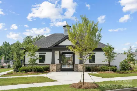 New construction Townhouse house 3159 Beacon Heights Rd, Indian Land, SC 29707 plan Telluride - image