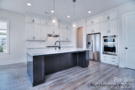 New construction Single-Family house 277 Triple Ponds Ct, Clover, SC 29710 - image 7