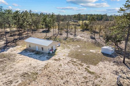 New construction Single-Family house 2190 Ne 130Th Ave, Williston, FL 32696 null- photo 0