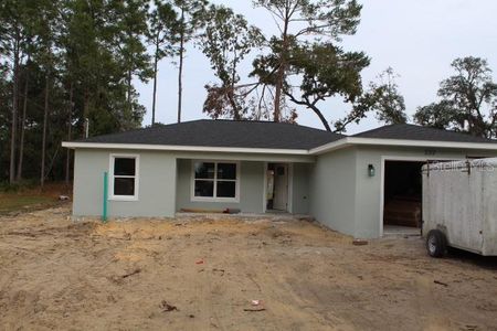 New construction Single-Family house 232 Locust Pass, Ocala, FL 34472 - photo 0