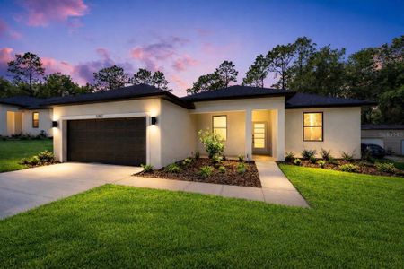 New construction Single-Family house 4362 Sw 159Th Ct, Ocala, FL 34481 - image
