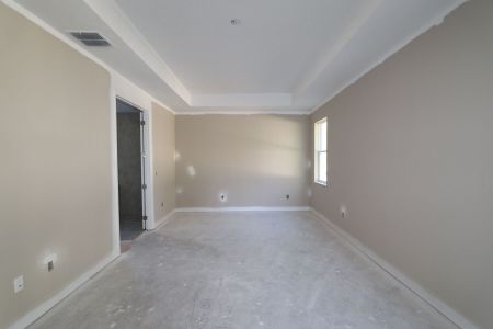 New construction Single-Family house 20339 Oriana Loop, Land O' Lakes, FL 34638 Newport II- photo 94 94