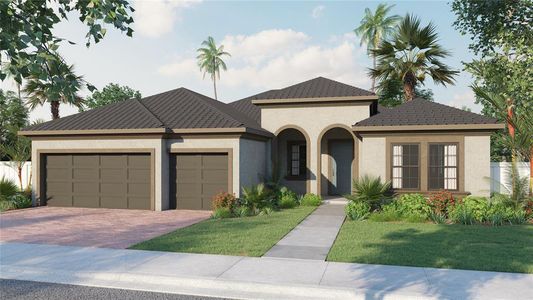 New construction Single-Family house 704 Estates Blvd, Tarpon Springs, FL 34688 - image