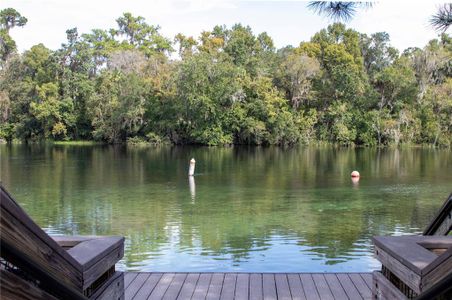 New construction Single-Family house 19610 Sw 93Rd Pl, Dunnellon, FL 34432 null- photo 70 70