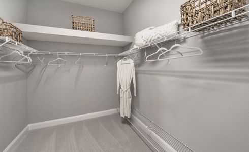 New construction Single-Family house 26 Night Owl Ct, St. Augustine, FL 32092 plan Serena - Classic Series | 50' Wide Lots - image 18