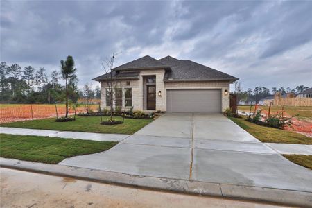 New construction Single-Family house 12735 Copperbush Dr, Conroe, TX 77302 plan 2504W - image 2