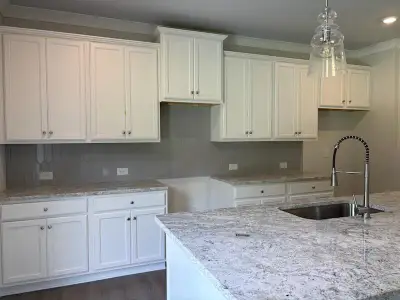 New construction Single-Family house 6 Commons Wy, Cartersville, GA 30120 plan Canyon - image 4