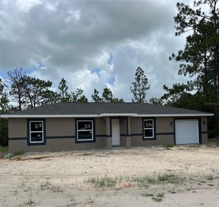 New construction Single-Family house 22553 Sw Rainbow Lakes Blvd, Dunnellon, FL 34431 - image