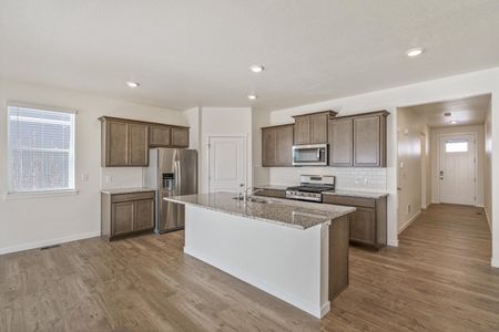 New construction Single-Family house 4837 Cattle Cross Ln, Castle Rock, CO 80104 null- photo 11 11