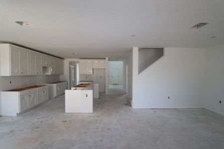 New construction Single-Family house 12168 Hilltop Farms Dr, Dade City, FL 33525 Malibu- photo 59 59